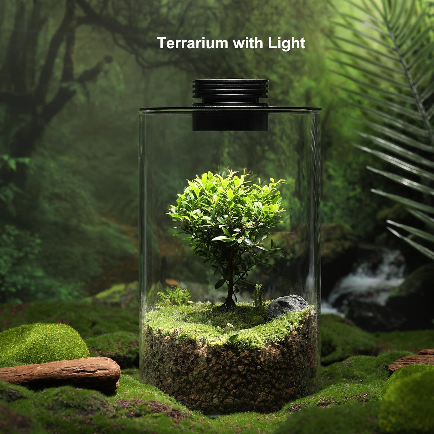 Desktop Glass Plant Terrarium with Grow Light (H:9.8" D:5.9"), for Succulent, Moss, Miniature Gardening Landscape, Betta Fish Tank, Indoor Plant Growth, Office Home Decoration, Plant Lovers Gifts